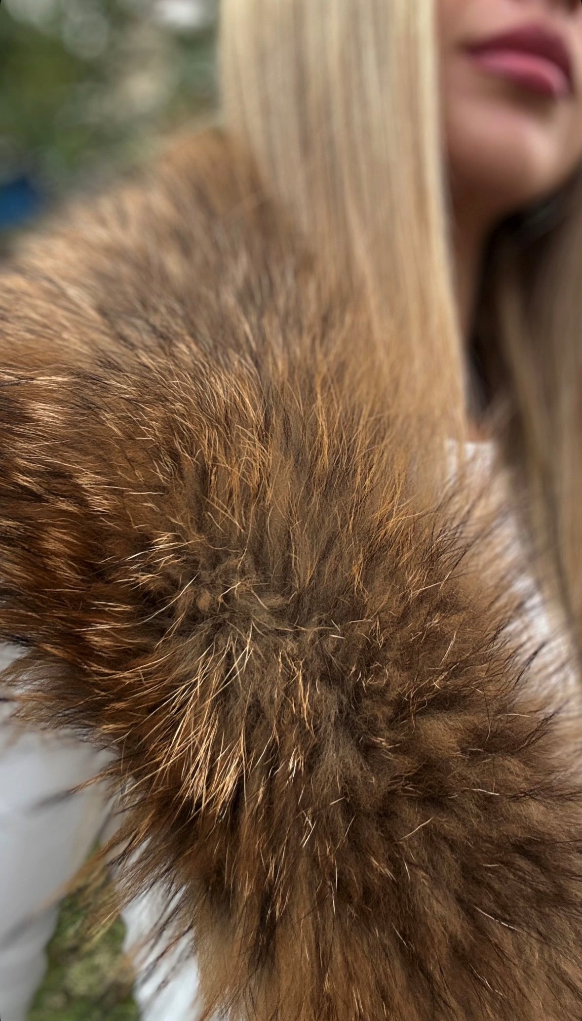 Large Beige to Brown Raccoon Fur Collar