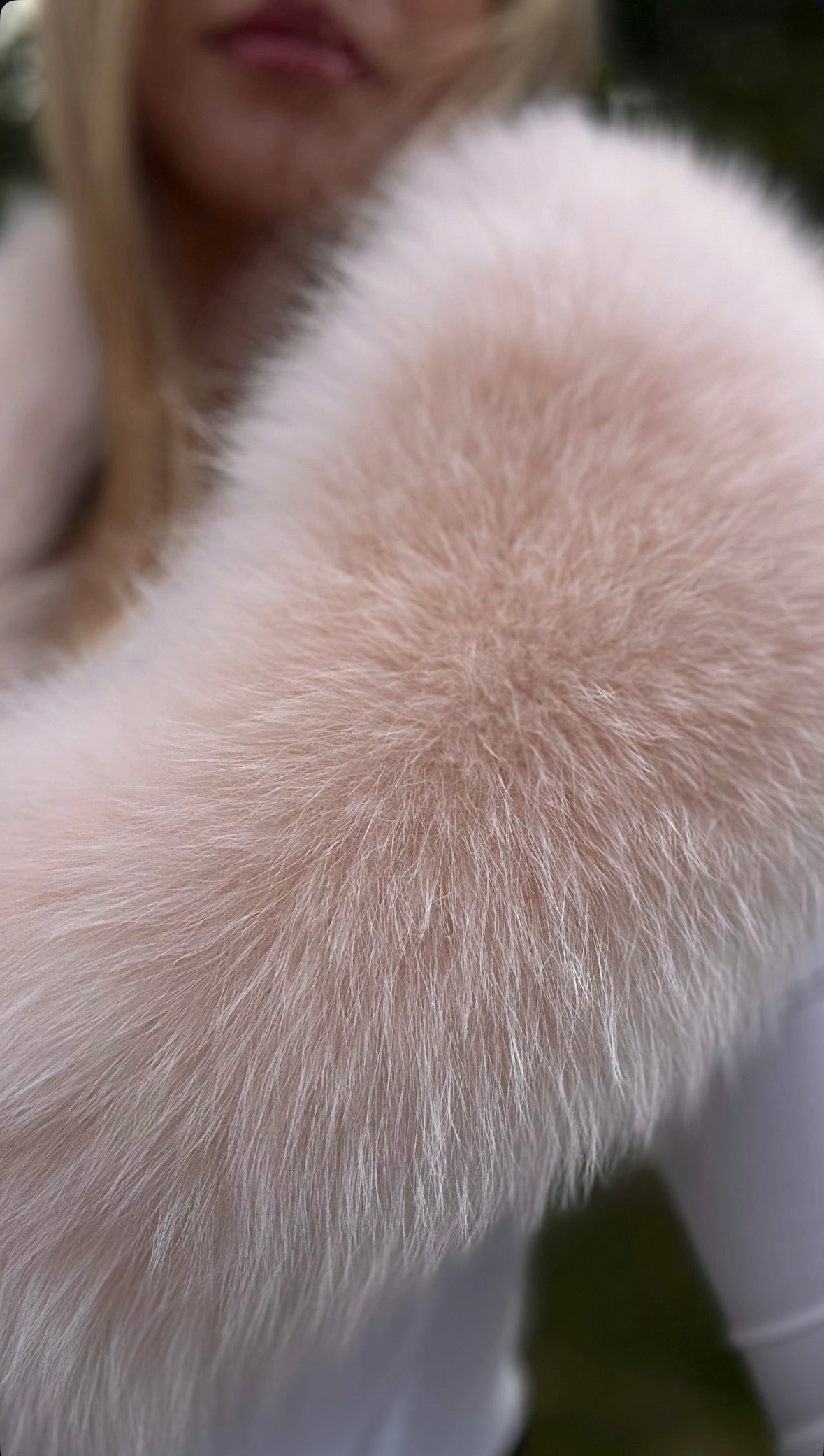 Large Blush Fox Fur Collar